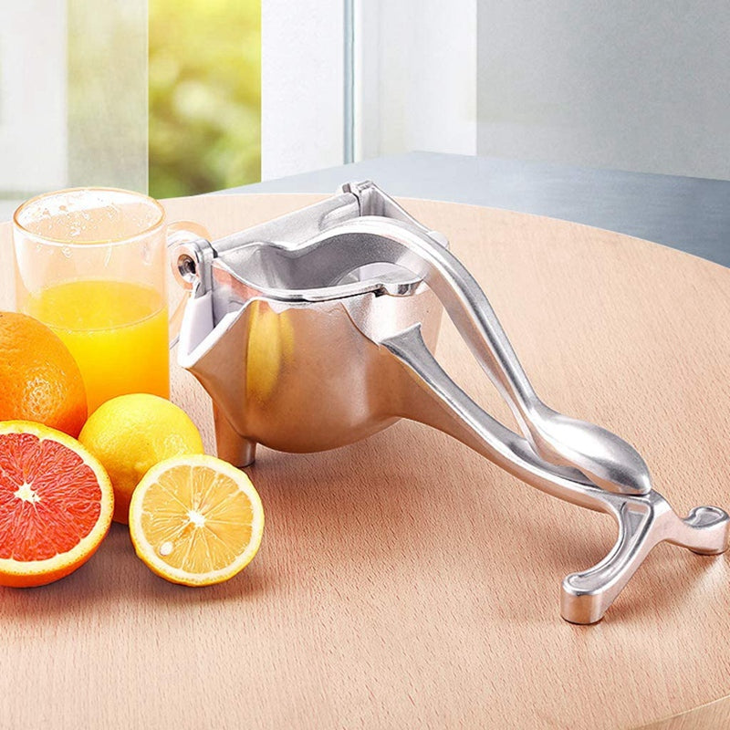 Stainless Steel Manual Fruit