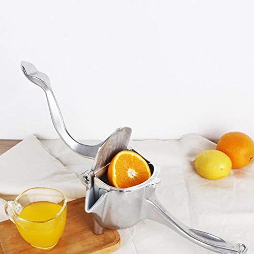 Stainless Steel Manual Fruit