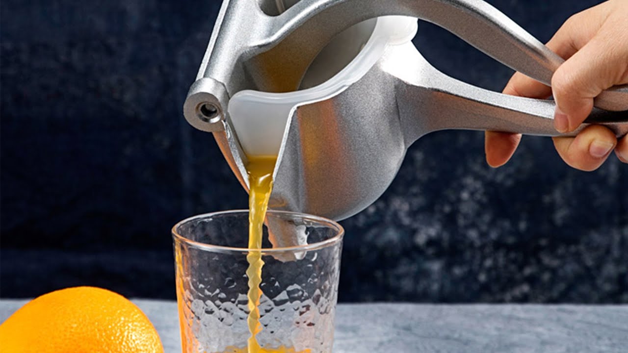 Stainless Steel Manual Fruit