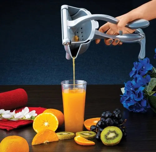 Stainless Steel Manual Fruit